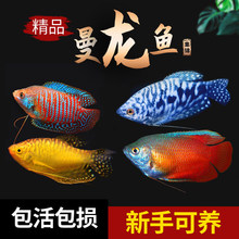 �����~�Ꭷ��ˮС���^�p���~����B�ͻ���������R����������~
