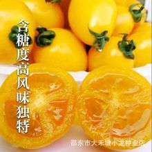 �Sţ�̷��ѷN���r��������ţ���S���ӷN�����ζ���ļ��߲�ˮ����