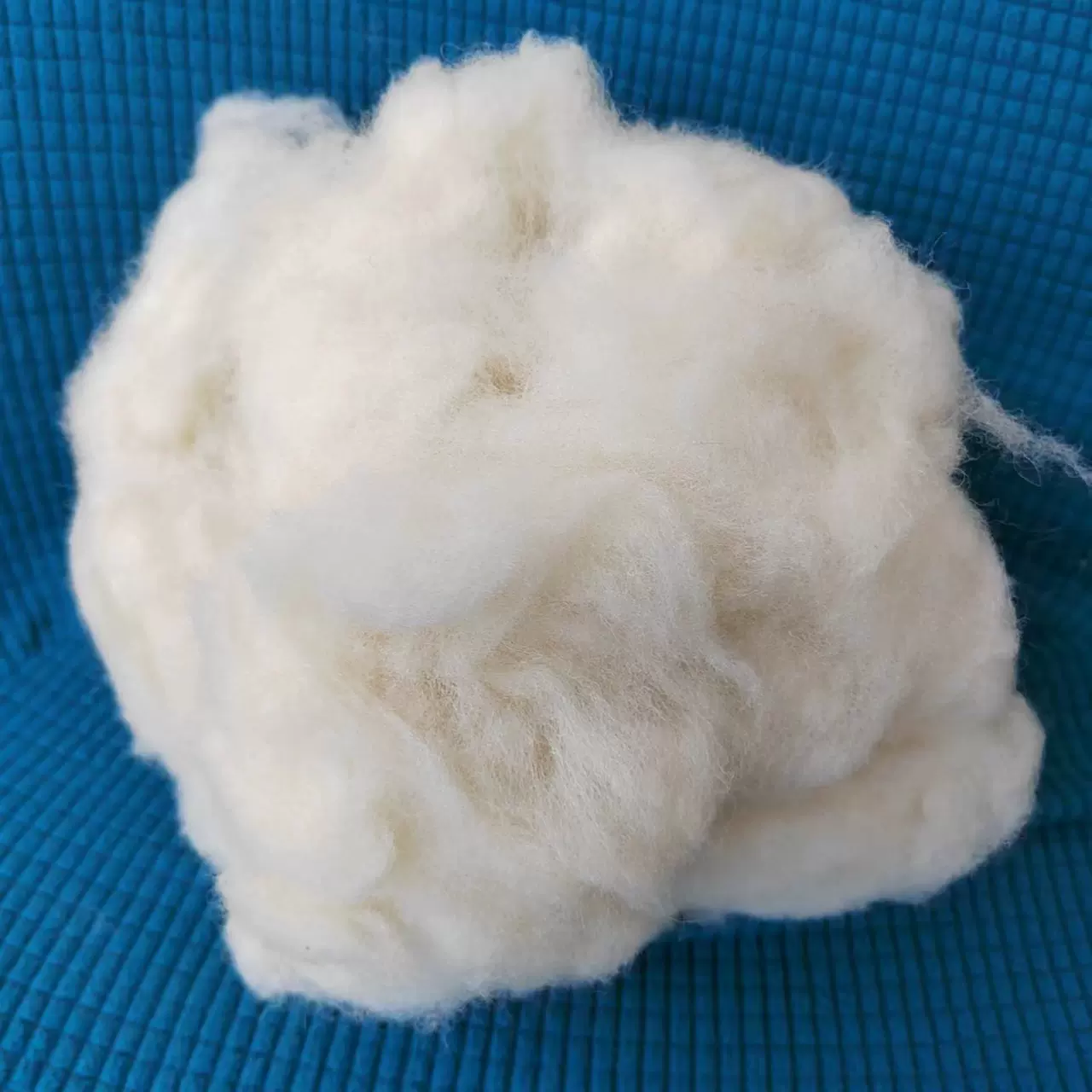 厂家直供精梳绵羊毛羊毛原料被芯被服填充物干净无味水洗羊毛
