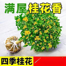 �����ļ��𻨿�ʳ�û���M�����Թ𻨘�����;Gֲ�҃Ȼ��ܺ��B