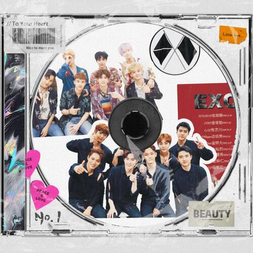 EXO handbook stickers Baekhyun Zhang Yixing Wu Sehun Park Chanyeol Kim Jun Myeon Do Kyungsoo peripheral decoration stickers