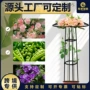 定制伞形植物花园艺爬藤架