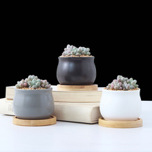 多肉花盆 綠色盆栽植物黑白色圓肚形室內陶瓷小花盆 竹木托盤新品