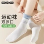 抗菌夏季春秋款新款长袜