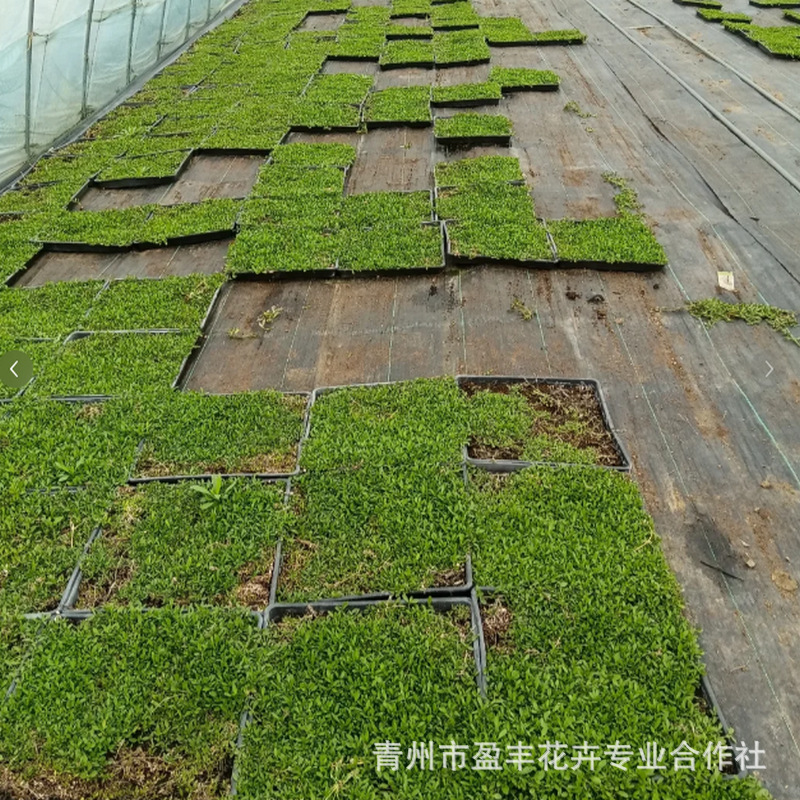 微信图片_20250430162505_1