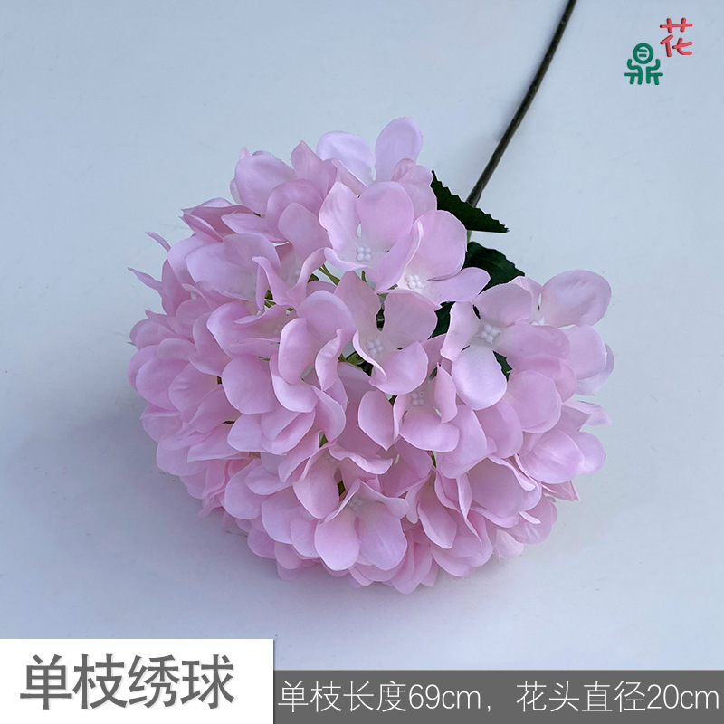 Single stroke LS pink