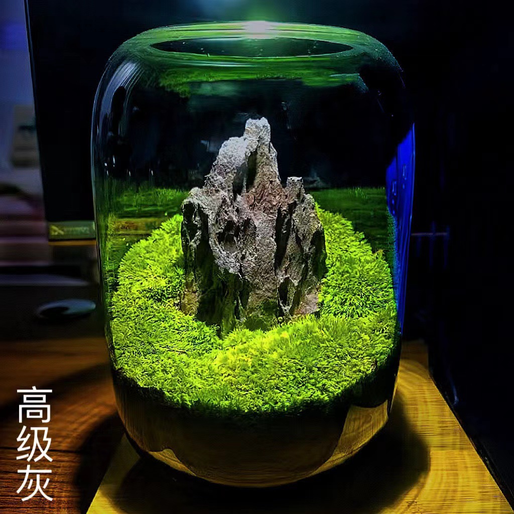 Tanque de vidrio redondo creativo mesa transparente engrosado acuario de peces dorados sala de estar micro paisaje árbol de vida botella ecológica