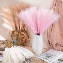 Artificial Flower Mini Pampas Reed Grass INS Style Artificial Flower Manufacturer Home Decoration Wedding Wholesale MW85102