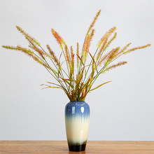 ����Gֲ�����~�z��3�^��β��֦�҃�ֲ���b���Ȼ�L�쾰�ٻ��ɻ�