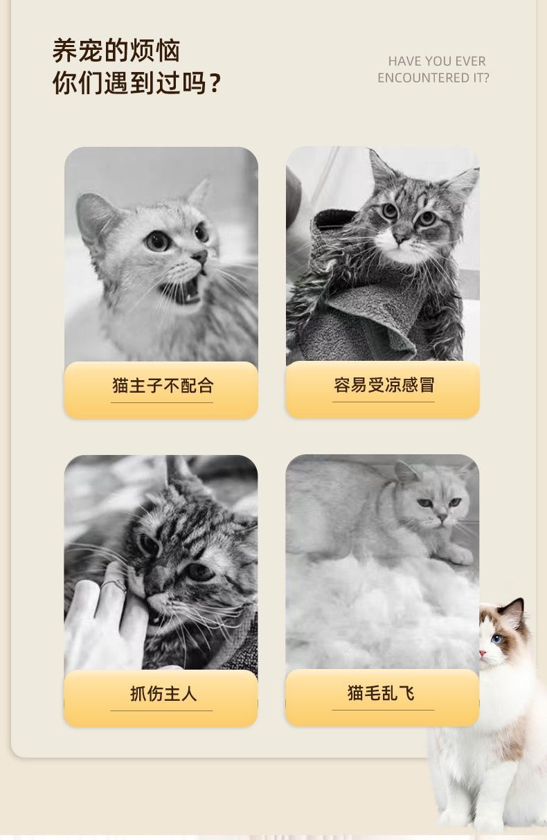 dd12b18e-a008-4f54-8836-e5b509a2da83.jpe