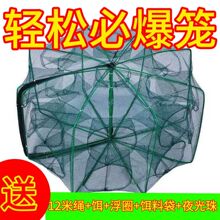 �r�\���r�W���~�W�ԄӝO�W���~�\�ۯBץ�~���r���q�S�X�\���~���