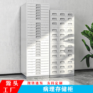 Pathology Slicing Cabinet Hospital Organization Wax Block Label Cabinet Storage Cabinet Drying Film Storage Cabinet Pathology Slicing Cabinet Manufacturers