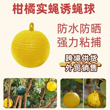 �Tω����ٌ�ω�z�Ϲ��@��ᘷ��Tճ�x����T�x���nω���T���T����