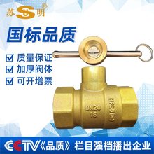 苏明一字水表前阀门自来水表前磁性带锁铜球阀暖气锁闭阀钥匙开关