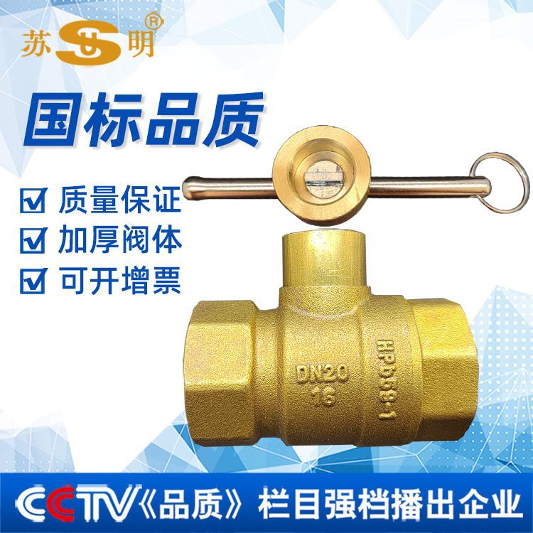 苏明一字水表前阀门自来水表前磁性带锁铜球阀暖气锁闭阀钥匙开关