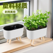 蝴蝶兰花盆懒人自动吸水盆桌面阳台租摆室内储水花盆厂家批发