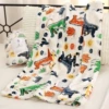 Double-sided dinosaur