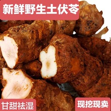 �V�|���r�����߬F�ڰ����������Ҝ����r�������������l��؛��؛