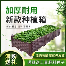 楼顶长方形户外花盆特大种植箱家庭槽塑料蔬菜阳台种菜盆菜园室内