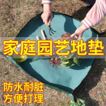 ͥ@ˇQ|Ӻţ򲼷ˮQNֲˇ؉|״@ˇ|