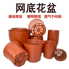 多肉植木鉢プラスチック厚手育苗網底盆基地苗床簡易植木鉢室内緑植硬質通気盆