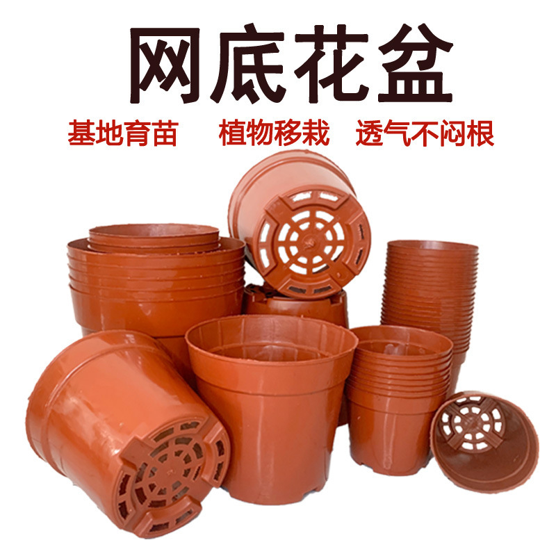 Fleshy Flower Pot Plastic Thickened Seedling Net Bottom Pot Base Nursery Simple Flower Pot Indoor Green Planting Rigid Breathable Pot Fleshy Flower Pot Plastic Thickened Seedling Net Bottom Pot Base Nursery Simple Flower Pot Indoor Green Planting Rigid Breathable Pot