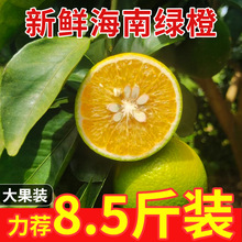 ���ϾG�����rˮ������������a�جF؛�ٰlһ�����l�����֭���Ě