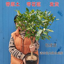 ���������玧ԭ���������l؛�҃����Խ����玧���̨ͥԺ���Ә���