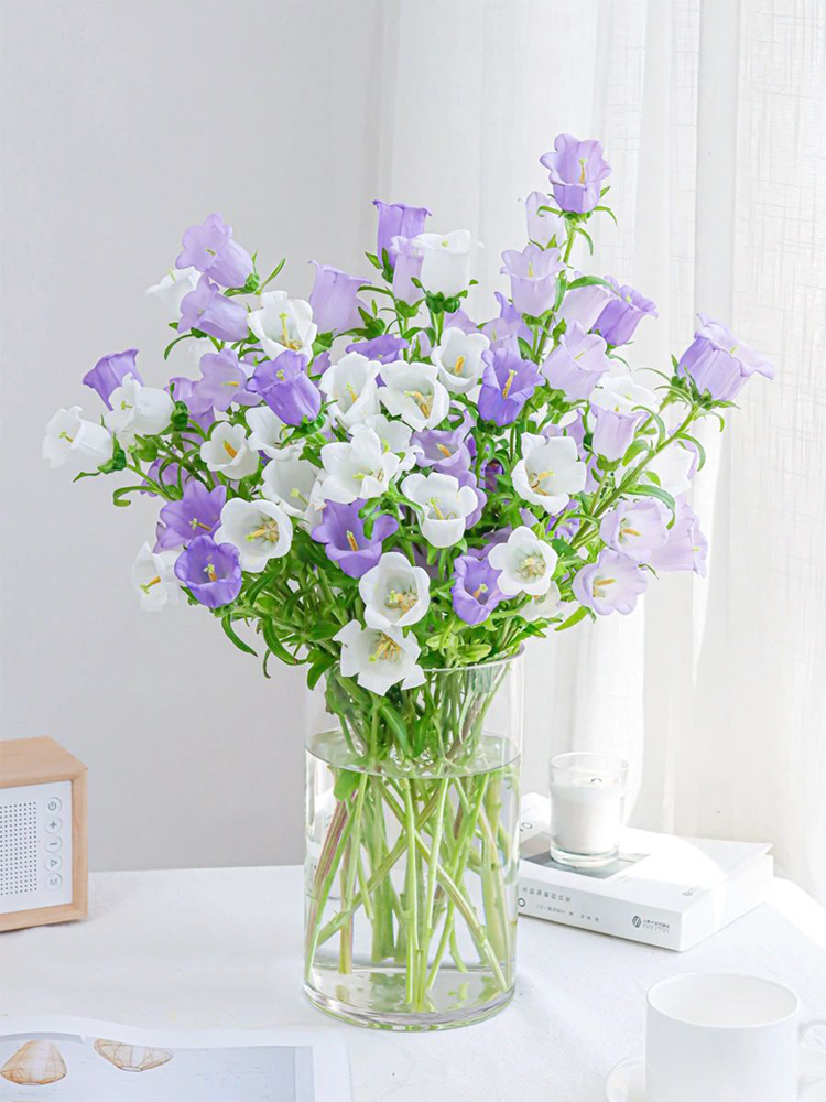 Campanula flower bell flower family life fresh cut flowers Kunming base direct delivery SF Express free shipping 9