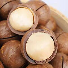 Specialty Flavor Hawaii Nut Creamy Dry Fruit Large Granules Nuts Boxed Snack Wholesale Distributor