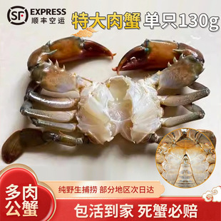 C�����з���\ �ϼ�����з��з�F؛���r���l ĸз��з2.5-3��
