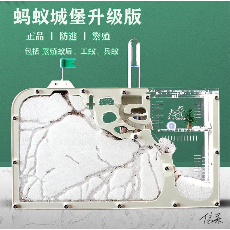 Insect Box Glass House Ant Nest Box Farm Breeding Activity Area Transparent Breeding Box