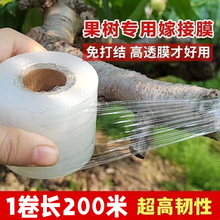 ޽ĤĤPEoYĤճʽ@ֹ޽z{ϱĤ