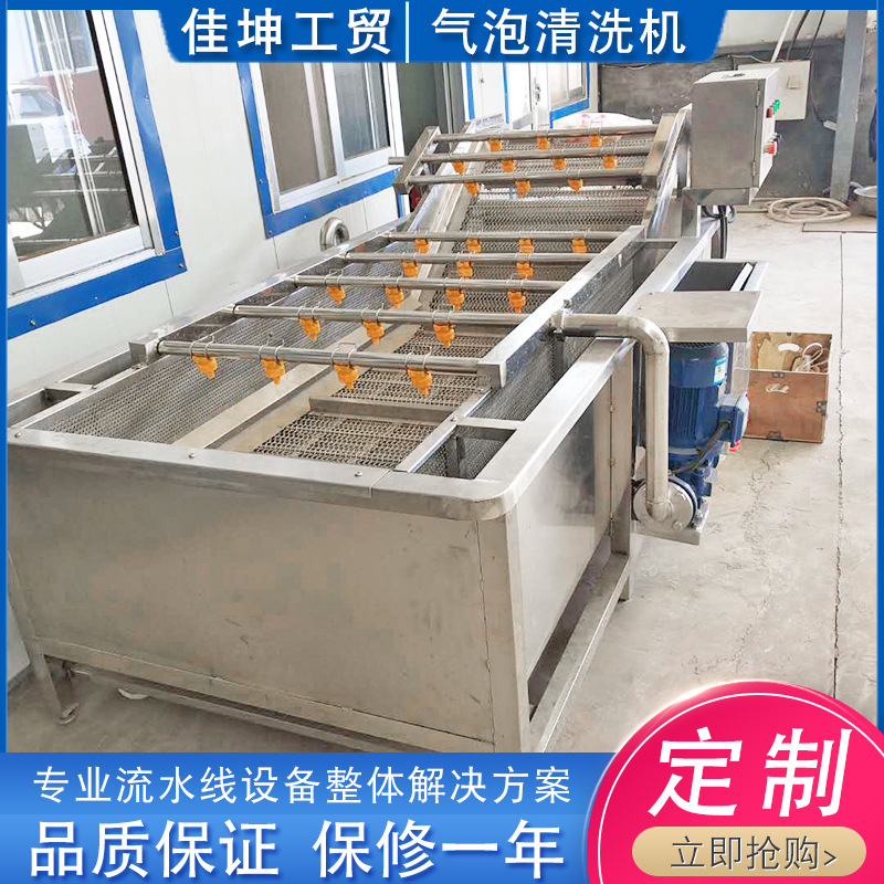 批发零售高压喷淋九芽生菜气泡洗菜机 多功能香椿芽清洗流水线