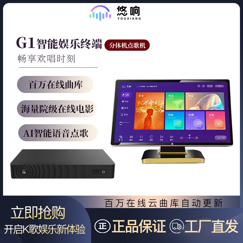 Youxiang G1 Touch Screen Karaoke Machine for Home Use 2024 New Model Family Ktv Karaoke Split-Type Karaoke Machine for Parties