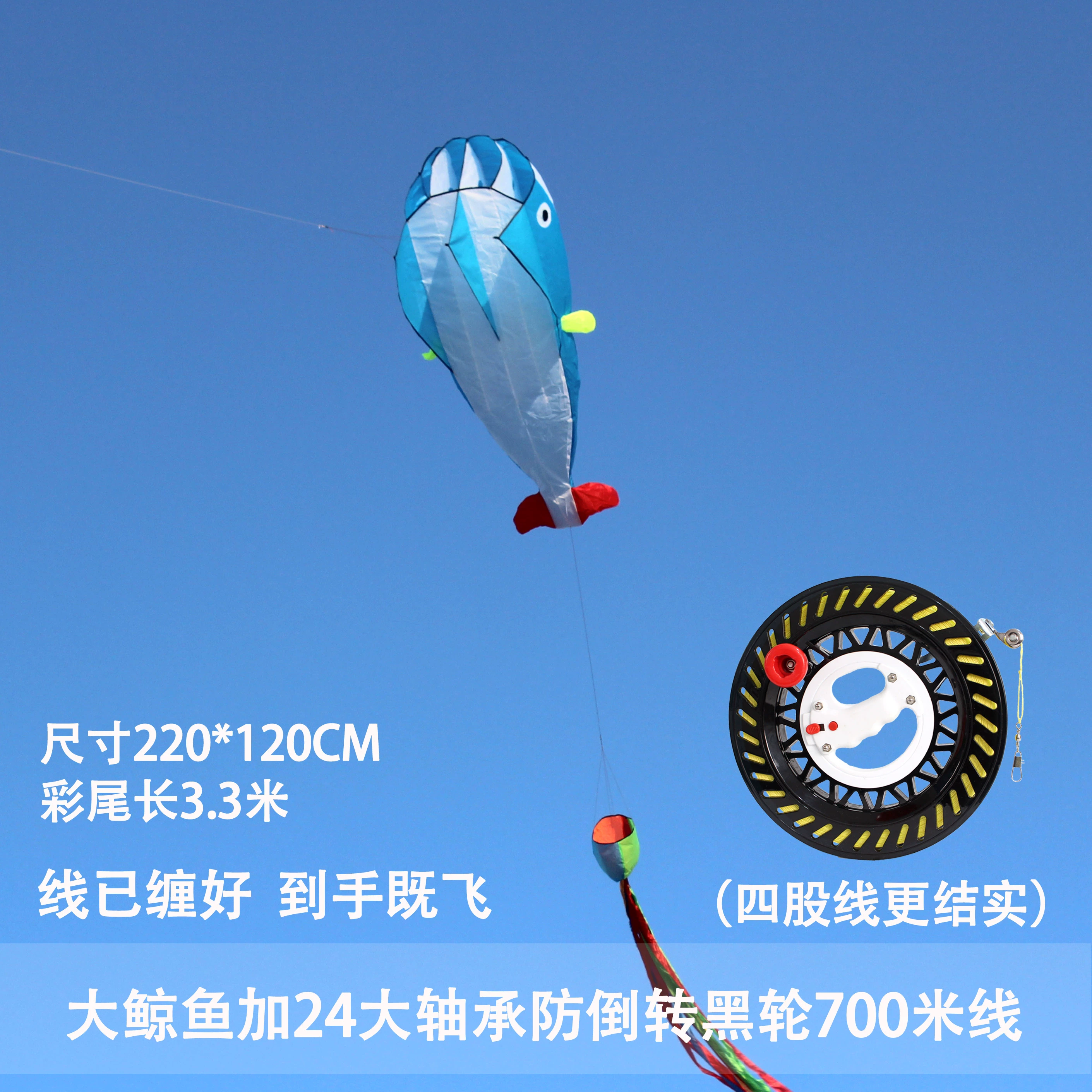 Kite for adults