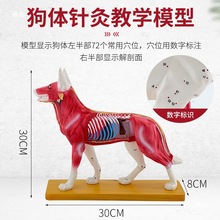 ���wᘾ�ģ�� ����ᘾ�ģ�� ��Ѩλģ�� ؈�i�R���ʘ˱� ���tᘾ�