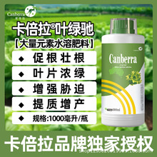 �������~�G�Y�~�����L���۲˲�������[��ײ˾²��燊�G�o�����a