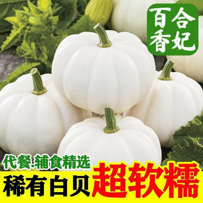 A Seasonal Authentic Baby Pumpkin with Chestnut Flavor, Soft and Sweet, Made from Whole Grains A Seasonal Authentic Baby Pumpkin with Chestnut Flavor, Soft and Sweet, Made from Whole Grains