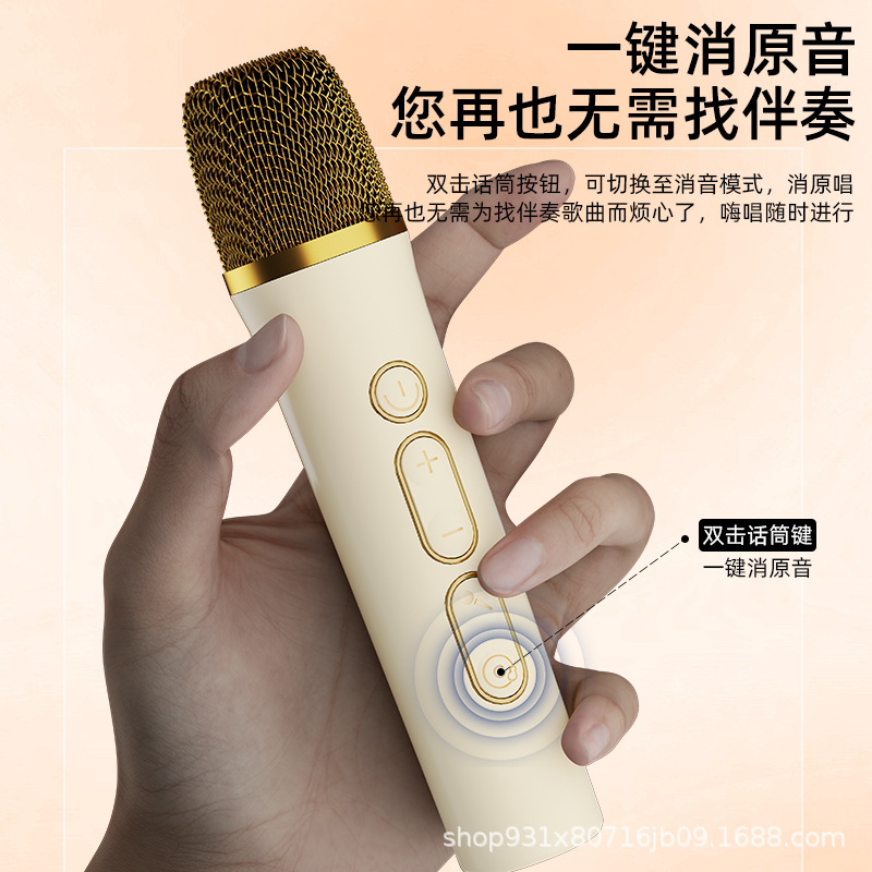非凡之音蓝牙音箱家用无线k歌音响话筒麦克风户外唱歌小型家庭ktv|undefined