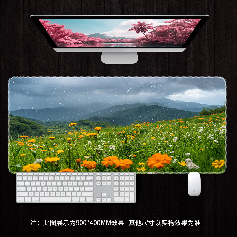 RS7919