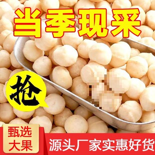 深圳市携糖贸易有限公司