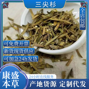 �a��ֱ�l���]��ș���ؼ�Ұ�� ��ɼ����ɼ  ��β�� ����~�����