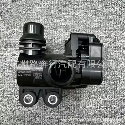 Solenoid valve A0005061500, used as a Thermostat