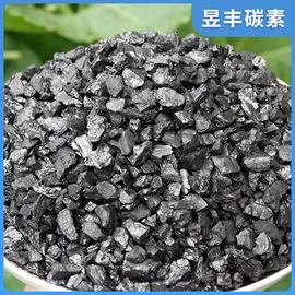 石墨及碳素;活性炭