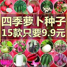 �}���ļ��߮a�����}���N������������P��ˮ���}���߲�ˮ���N��