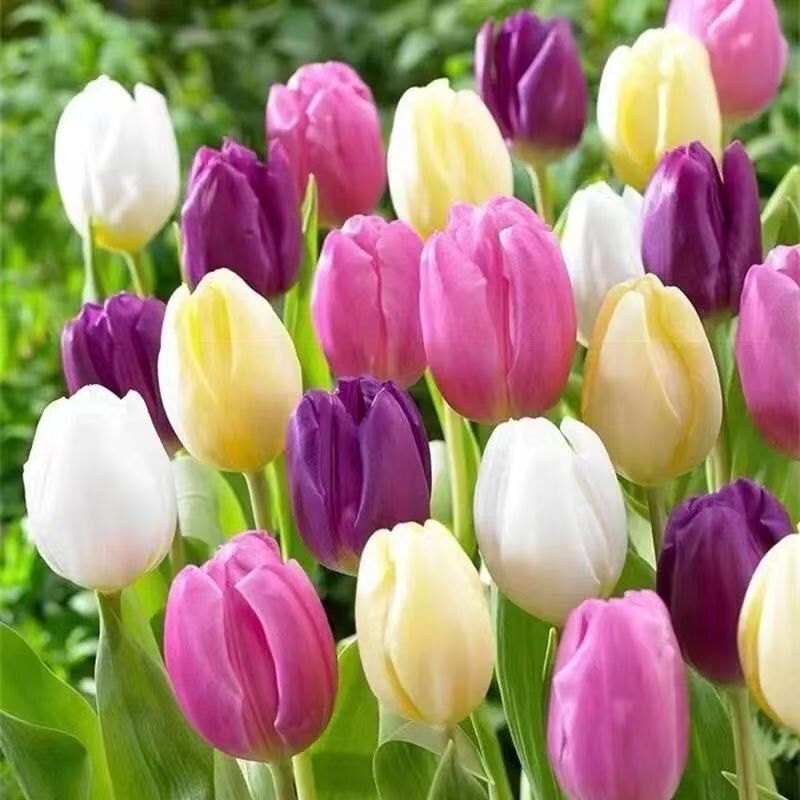 13c9c838-807b-46e6-96a6-df50efaaa0ba.jpe