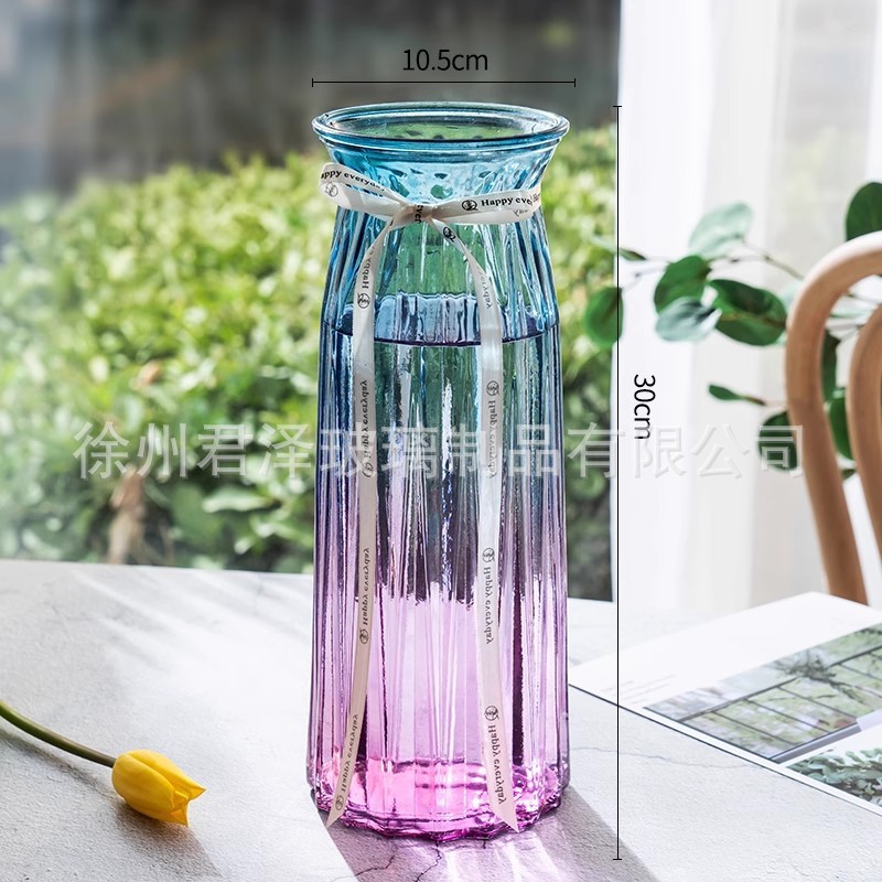 北欧创意透明玻璃花瓶水培绿萝植物干花鲜花插花瓶客厅装饰摆件|undefined