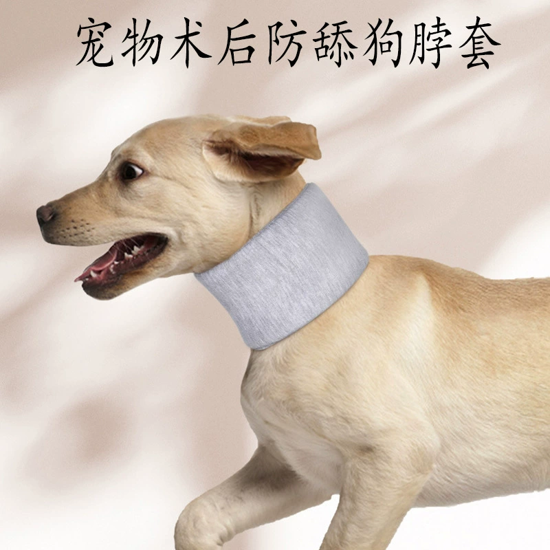 Новый домашний питомец после елизаветинского круга анти-облизывание анти-царапание кошачьей шеи