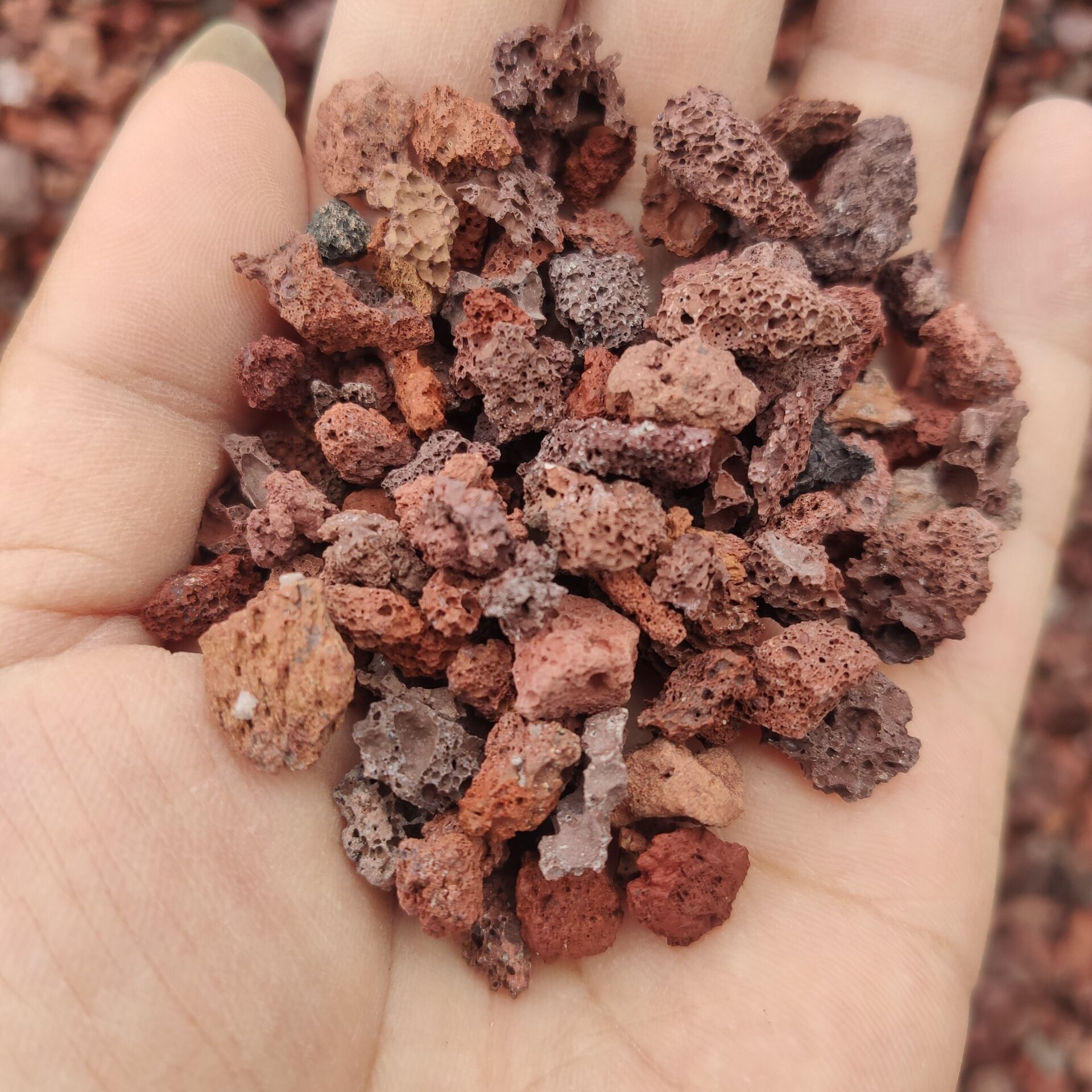 供应多肉铺面石 鱼缸用红色火山岩 火山石颗粒